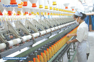 Ngành Công nghệ sợi, dệt