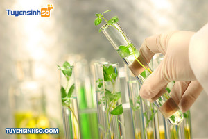 Ngành Sinh học ứng dụng