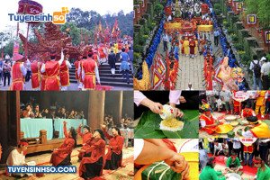 Ngành Việt Nam học